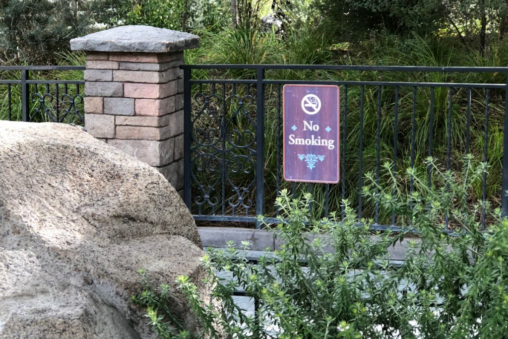 Disney no smoking