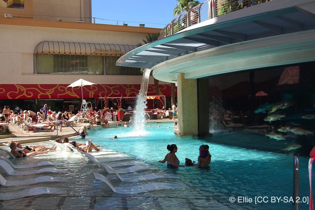 the golden nugget pool