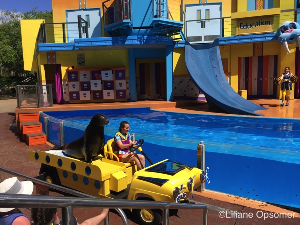 Goofy's Sky School at Disney California Adventure