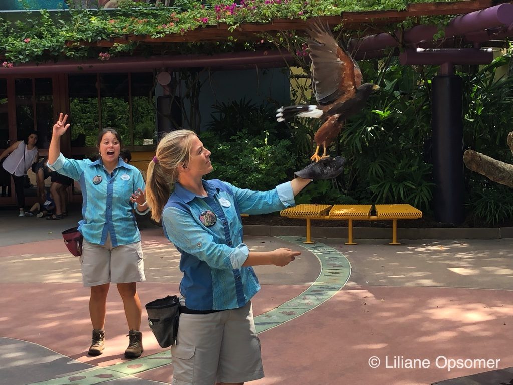 Rafiki's Planet Watch