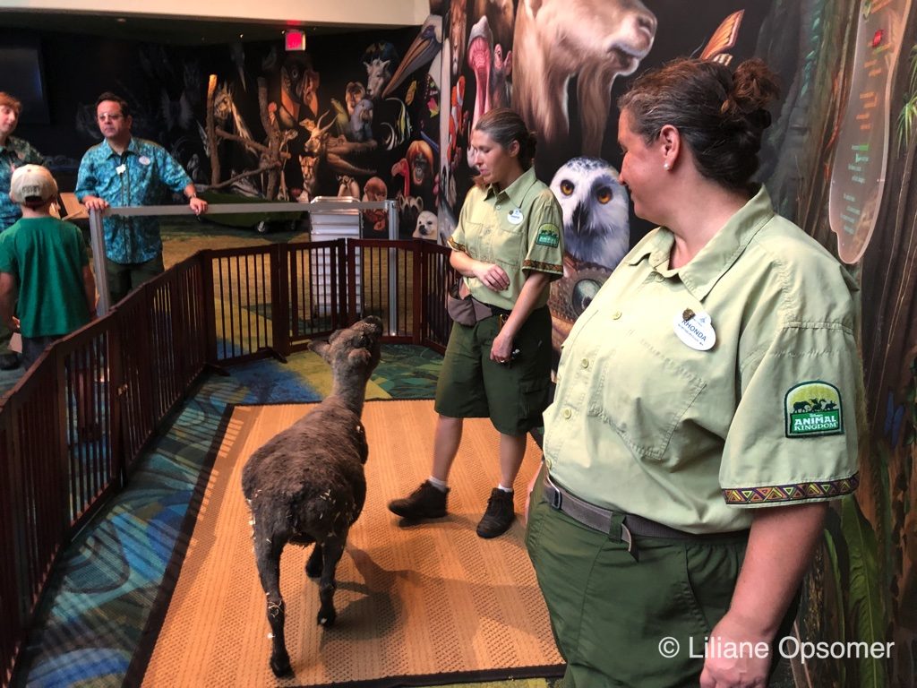 Rafiki's Planet Watch