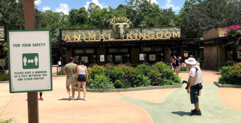Disney's Animal Kingdom reopened social distancing featured