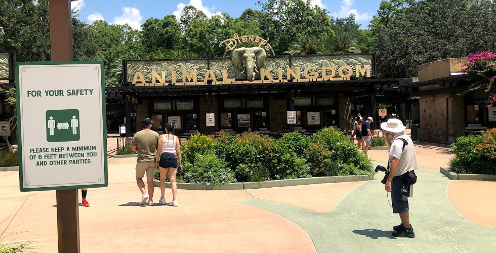 Disney's Animal Kingdom Reopens with New Feathered Friends in Flight Bird  Show - The Unofficial Guides