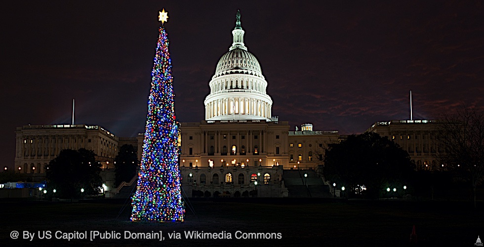 Capitol Christmas Tree Wikimedia Common