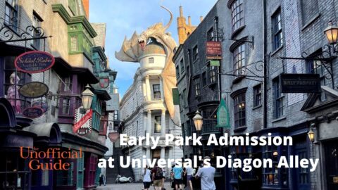 Early Park Admission at Universal's Diagon Alley (1)