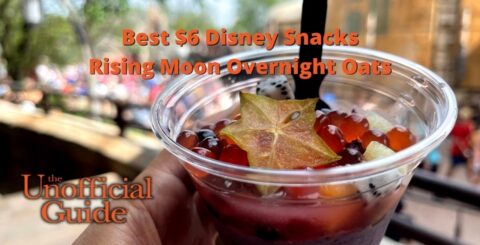 Best $6 Disney Snacks Rising Moon Overnight Oats