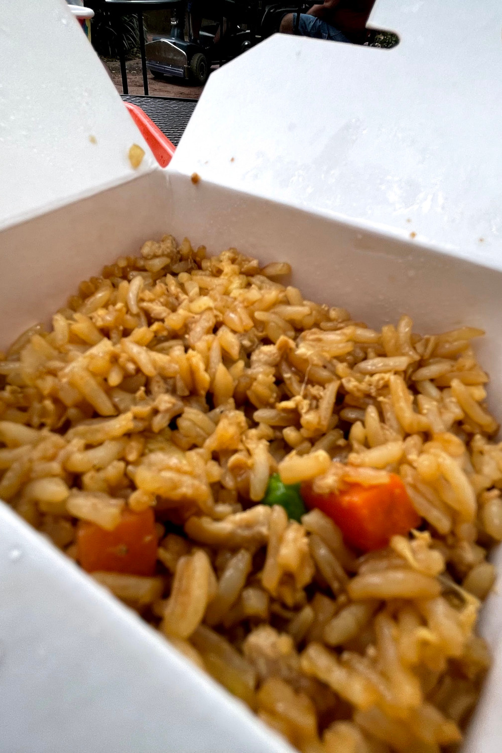 Chicken Fried Rice Yak & Yeti Style - Magical Eats