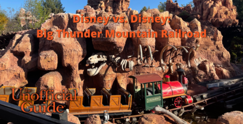 Disney vs. Disney Big Thunder Mountain Railroad