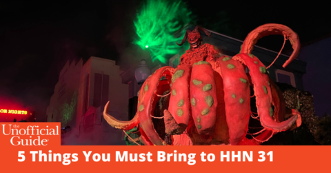 5 Things You Must Bring to Universal's HHN31
