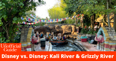 Disney vs. Disney Kali River & Grizzly River
