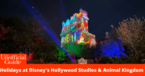 Holidays at Disney's Hollywood Studios & Animal Kingdom