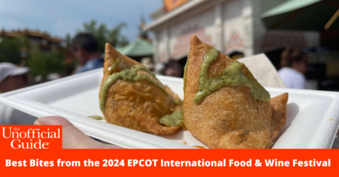 EPCOT Food & Wine BANNER India_@Seth Kubersky