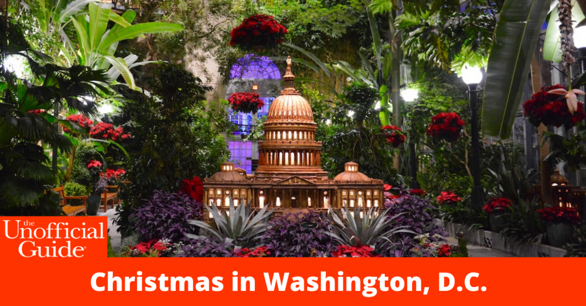 Christmas in Washington, D.C. BANNER