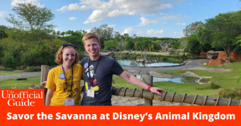 Savor the Savanna at DAK